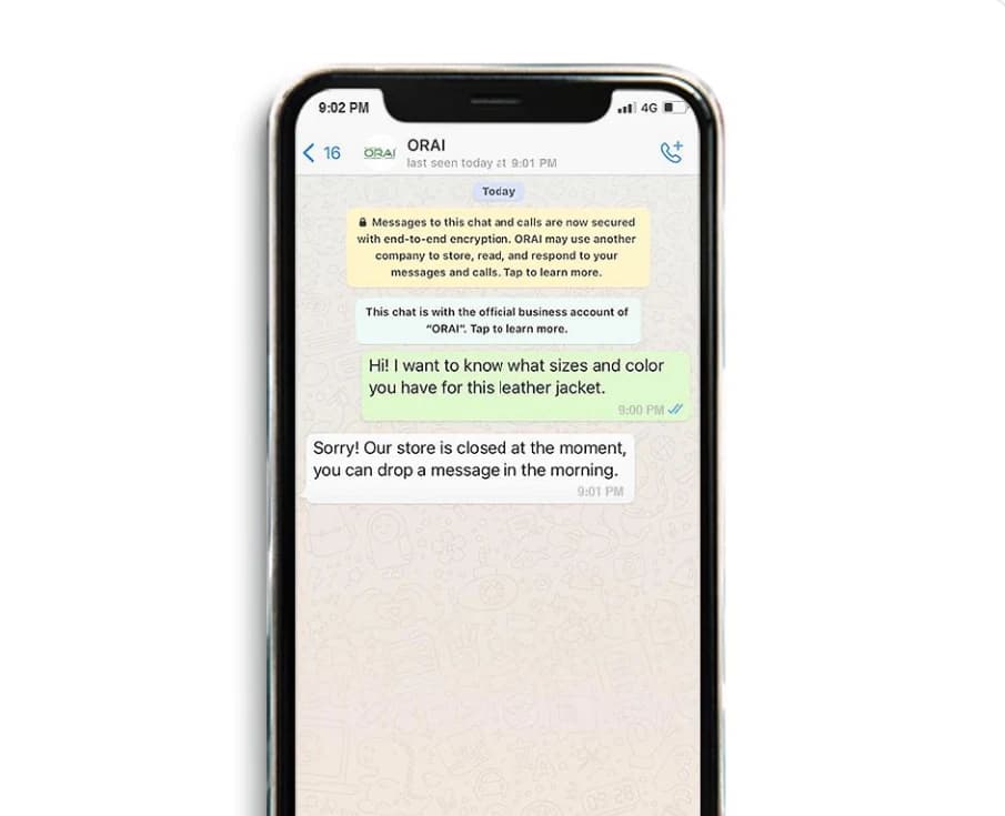 WhatsApp AI Automation — project preview